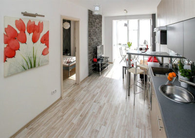 Rénovation studio – Le Pré Saint-Gervais (93)